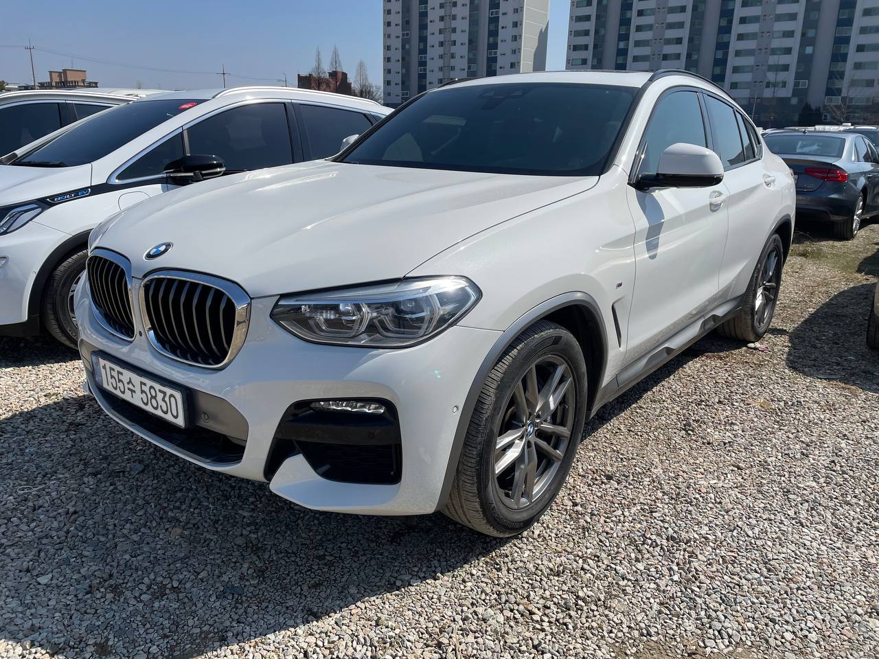 BMW X4 (G01) xDrive 20i M Sports