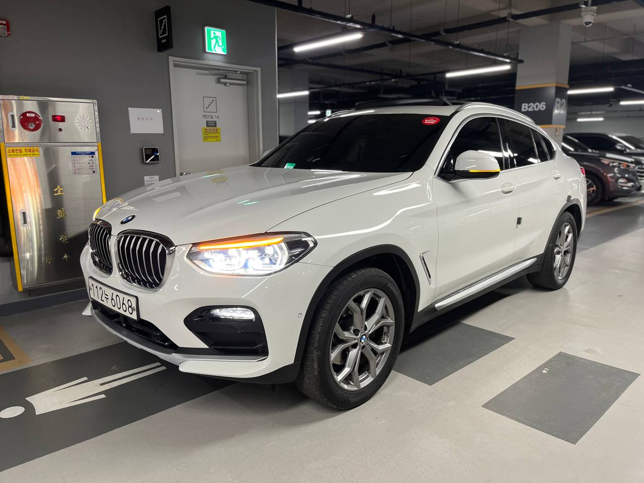 BMW X4 (G02) xDrive 20i xLine