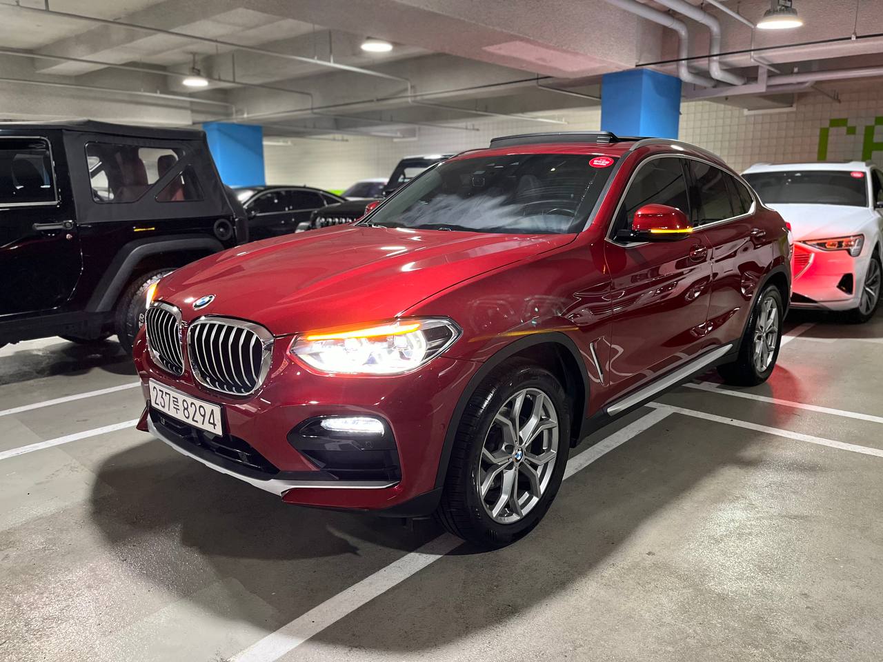 BMW X4 (G02) xDrive 20d xLine