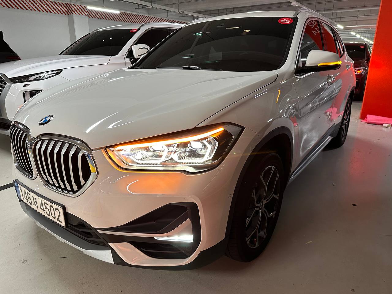 BMW X1 (F48) xDrive 20i xLine