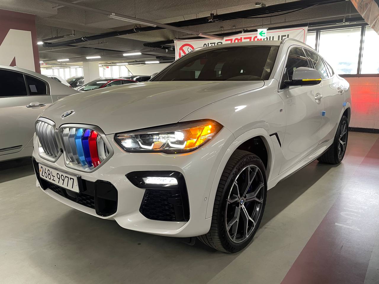 BMW X6 (G06) xDrive 30d M Sports