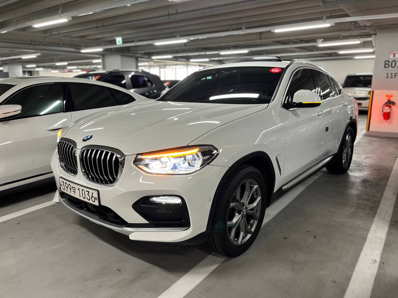 BMW X4 (G02) xDrive 20i xLine