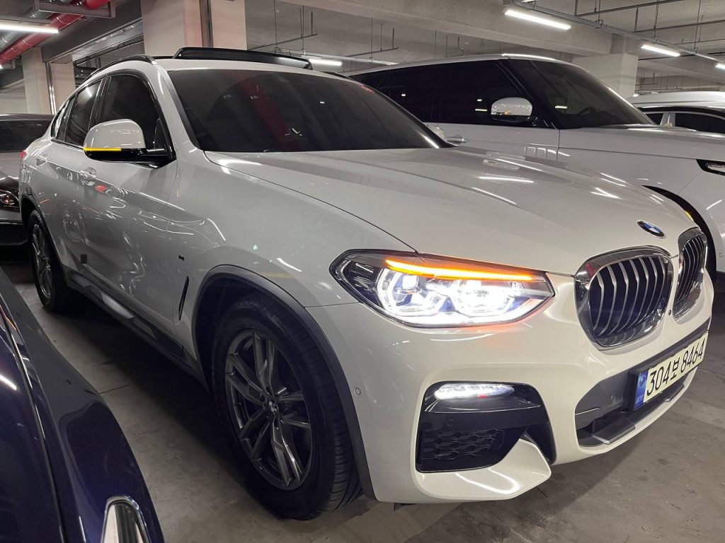 BMW X4 (G02) xDrive 20i M Sport X