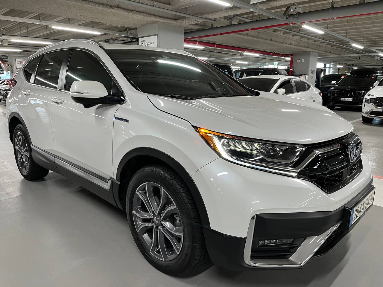 photo_2768@06-02-2025_12-58-27