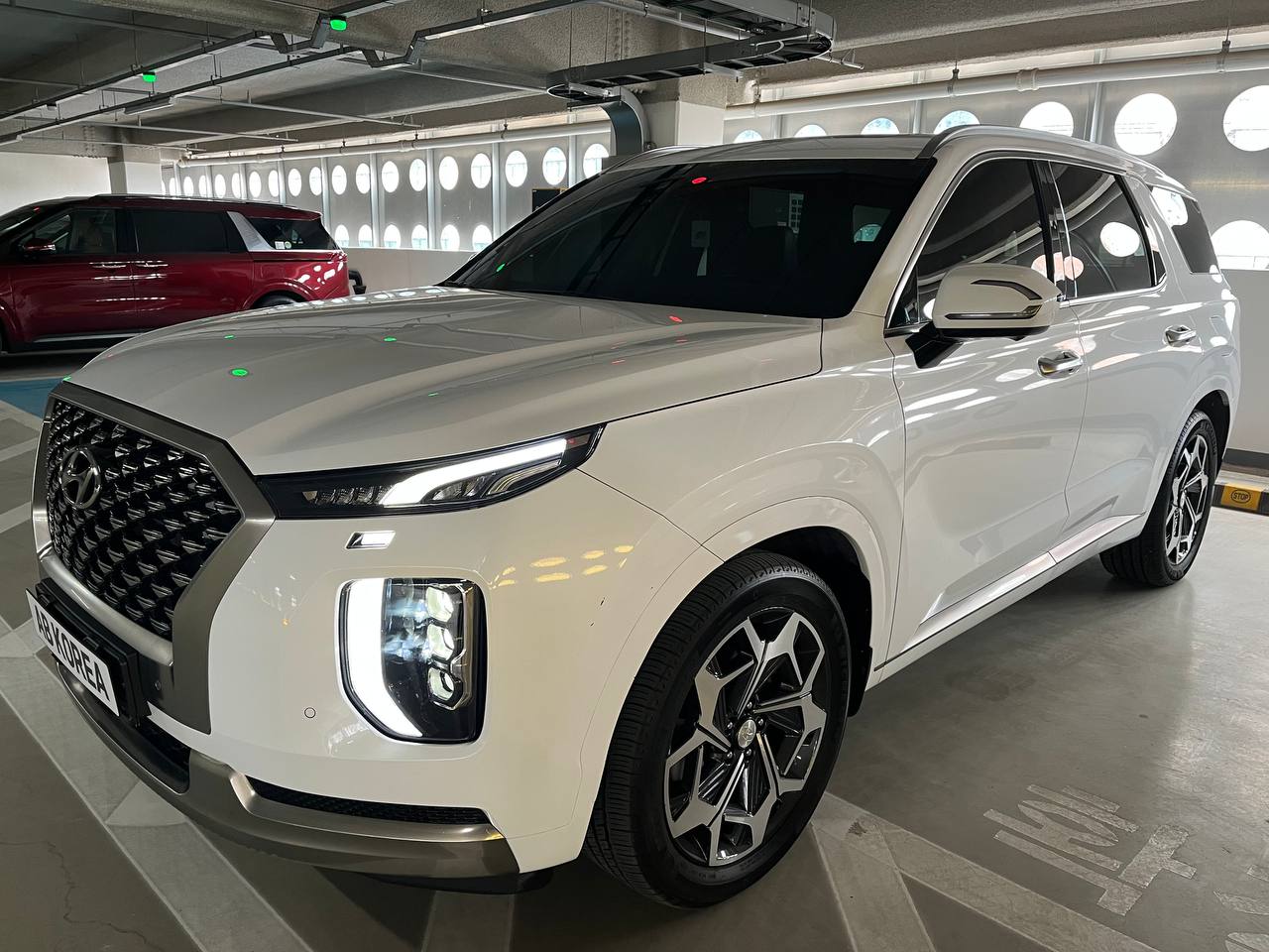 photo_2779@12-02-2025_05-31-28