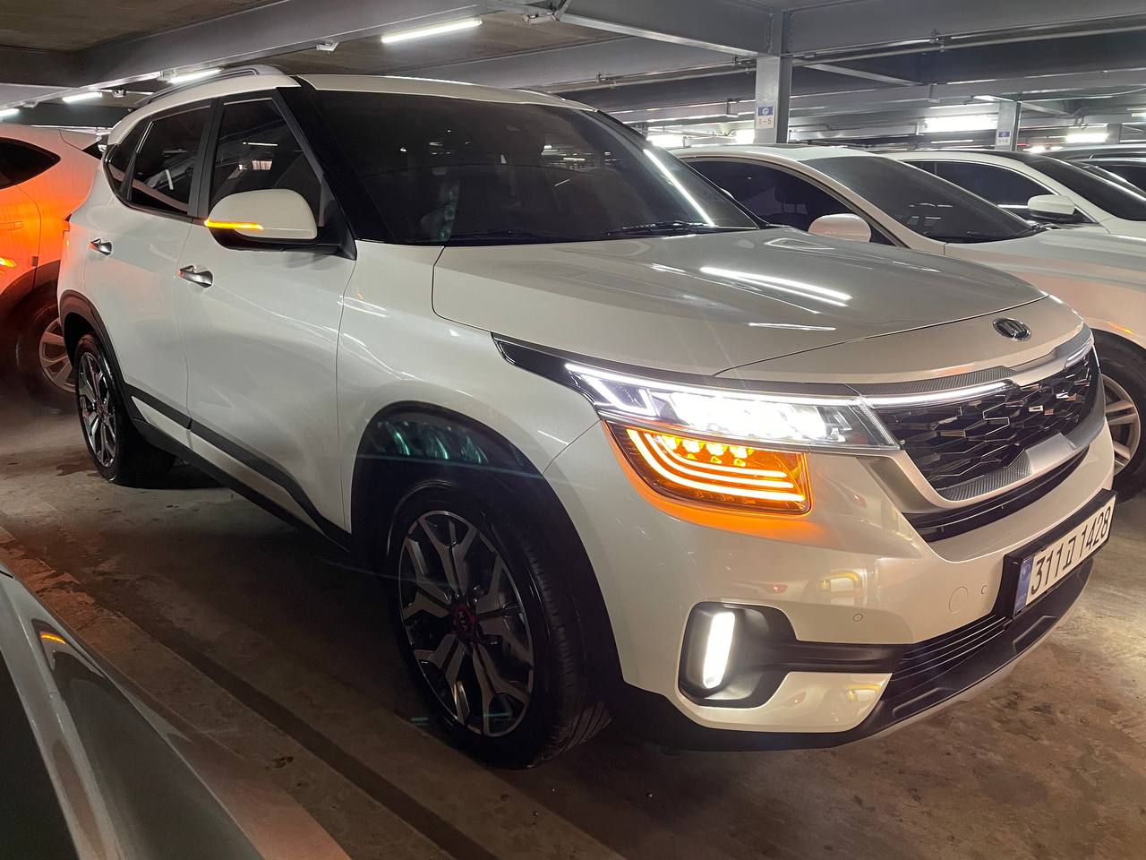 photo_2910@18-02-2025_06-07-41