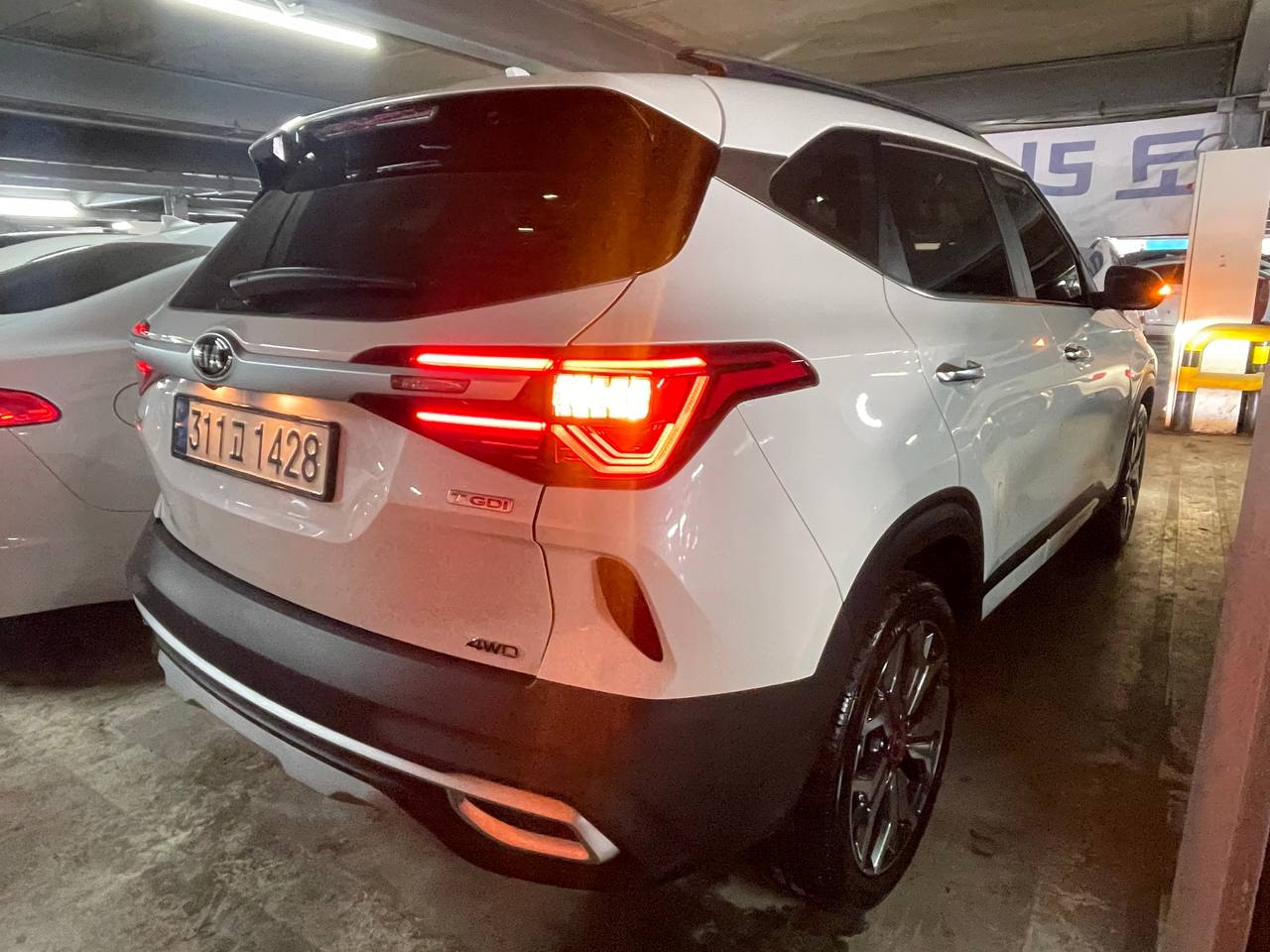 photo_2911@18-02-2025_06-07-41