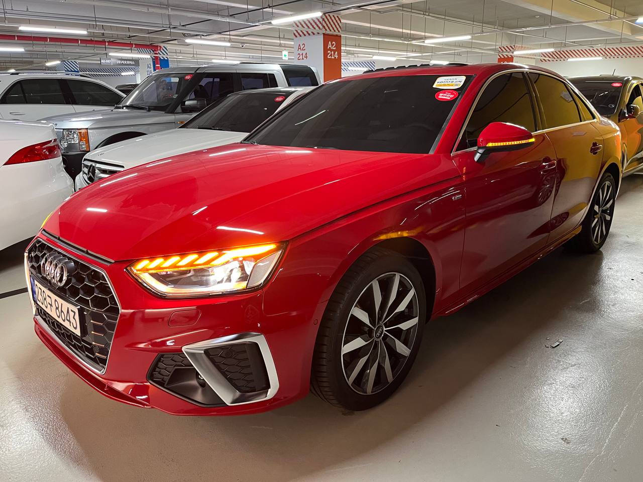 photo_3001@18-02-2025_06-17-44