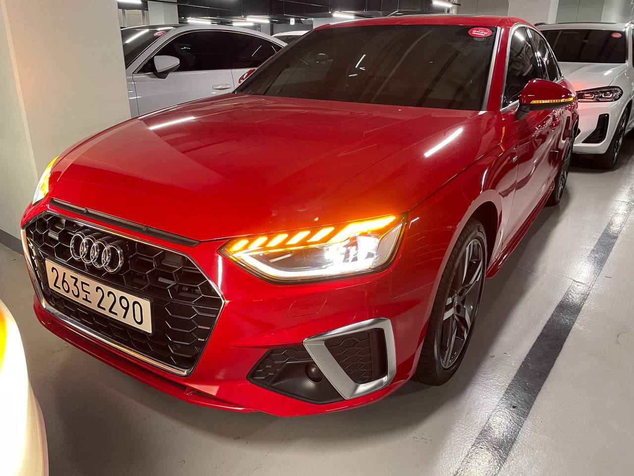 photo_2772@19-03-2025_16-40-16