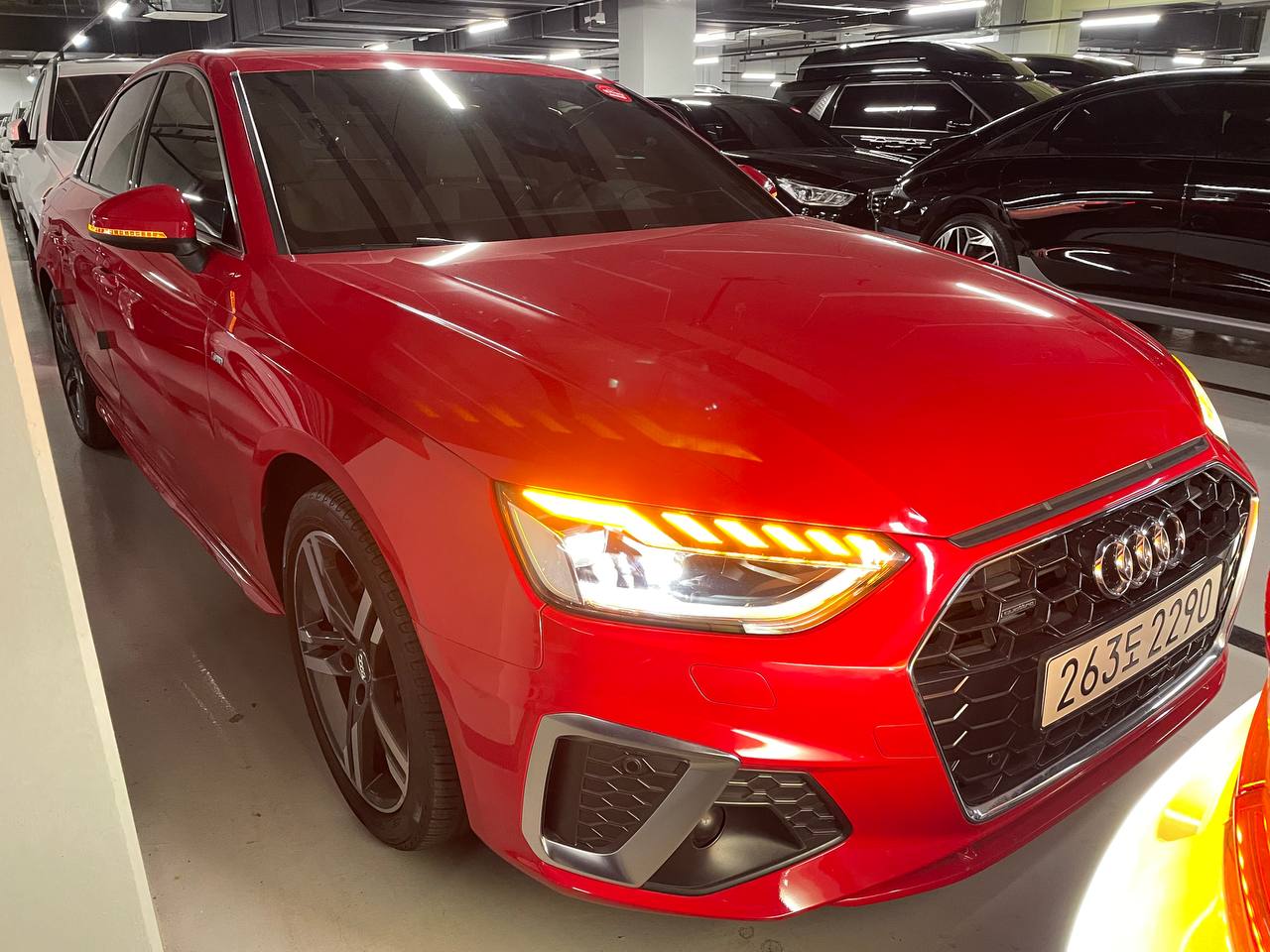 photo_2773@19-03-2025_16-40-16