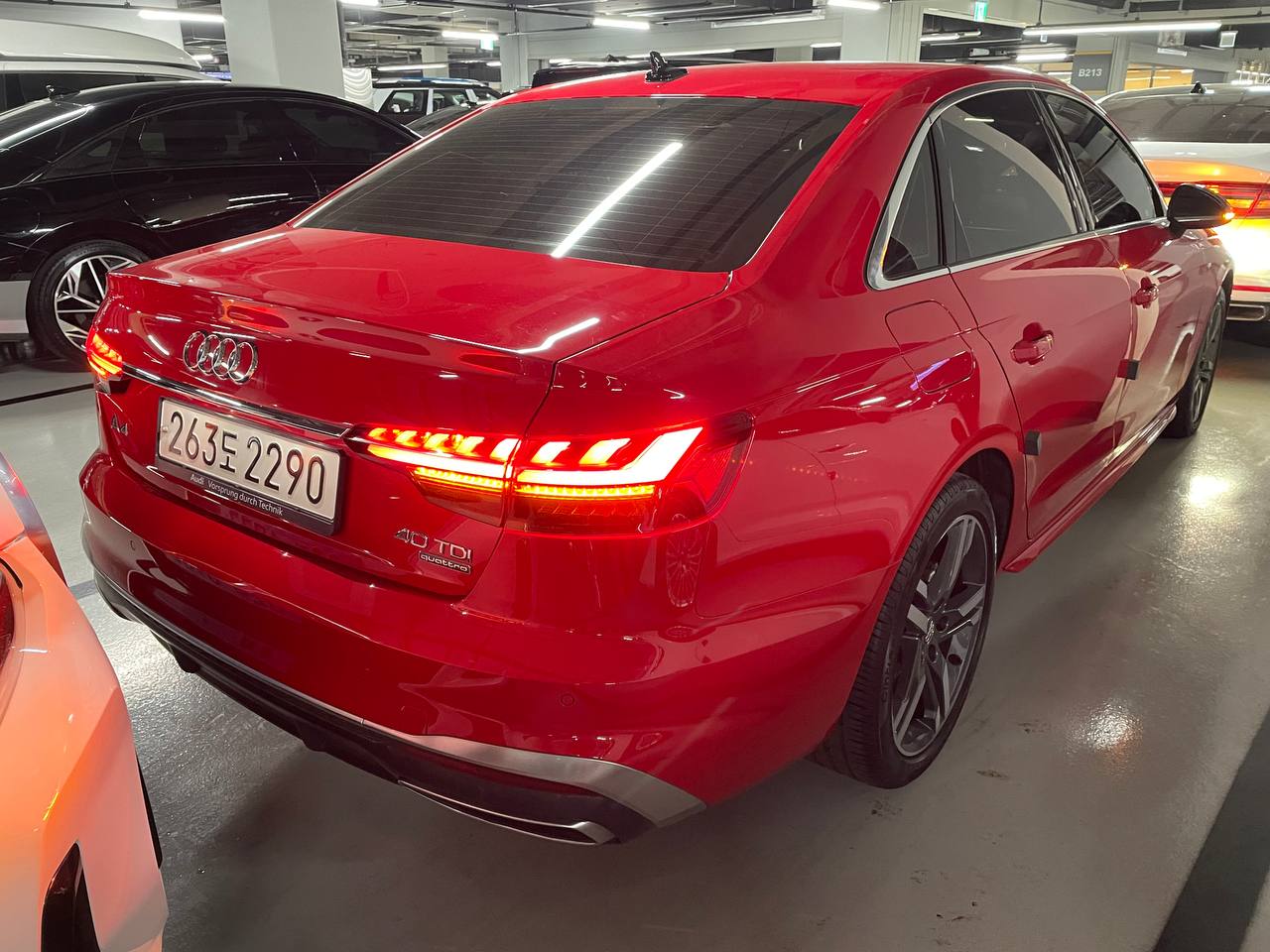 photo_2774@19-03-2025_16-40-17