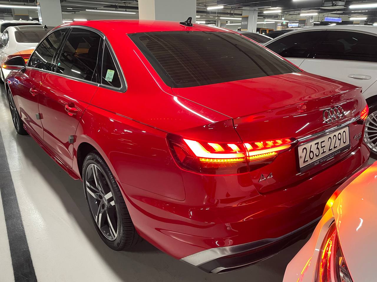 photo_2775@19-03-2025_16-40-17