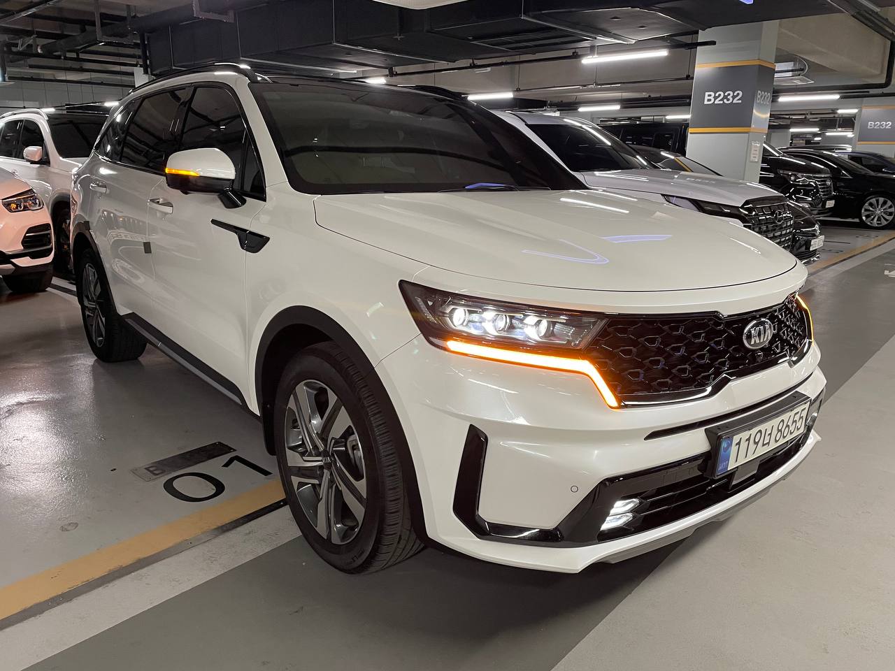 photo_2786@19-03-2025_16-41-02