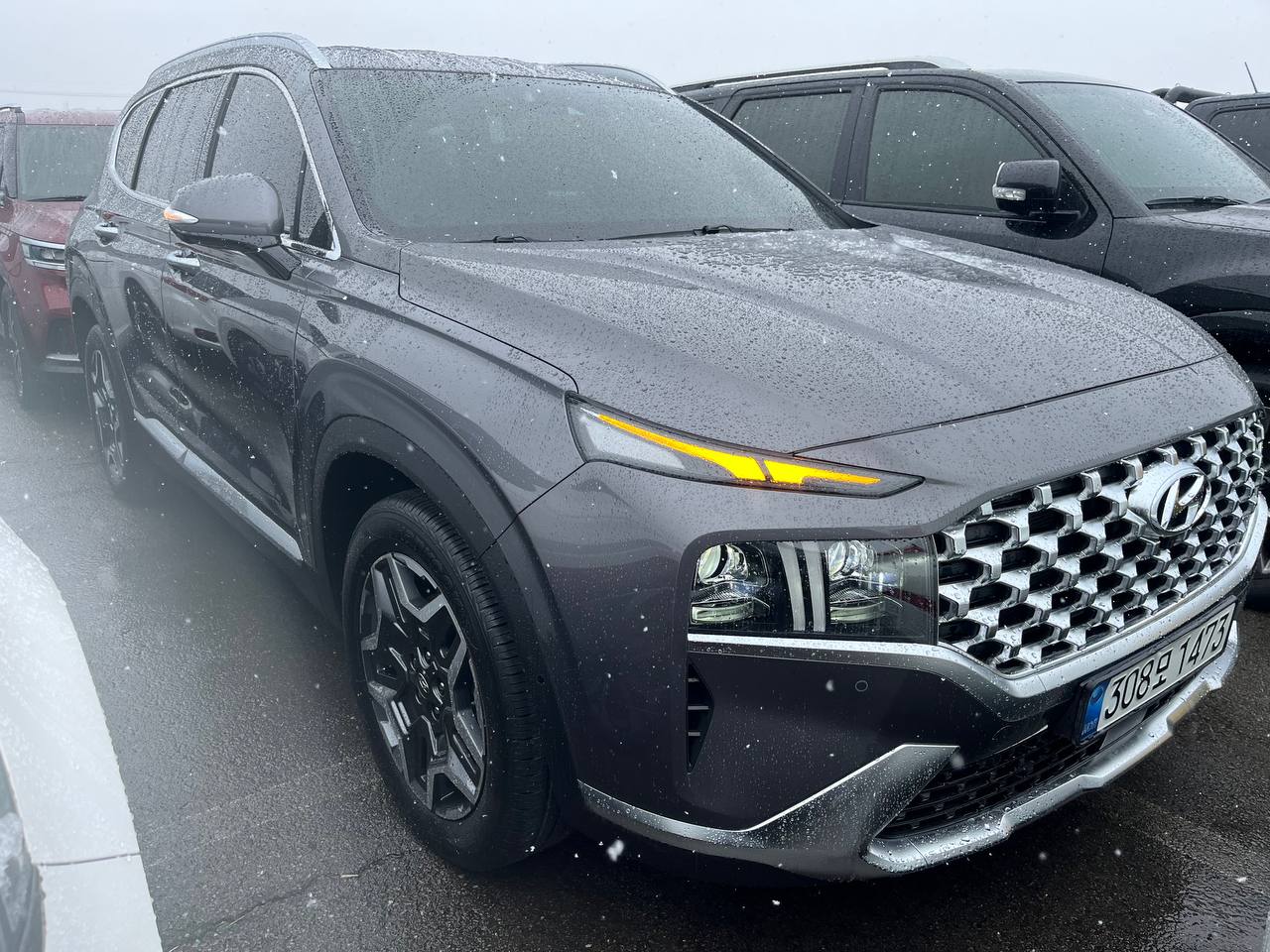 photo_2833@04-03-2025_12-56-55