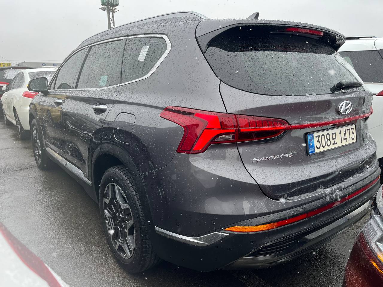 photo_2835@04-03-2025_12-56-55