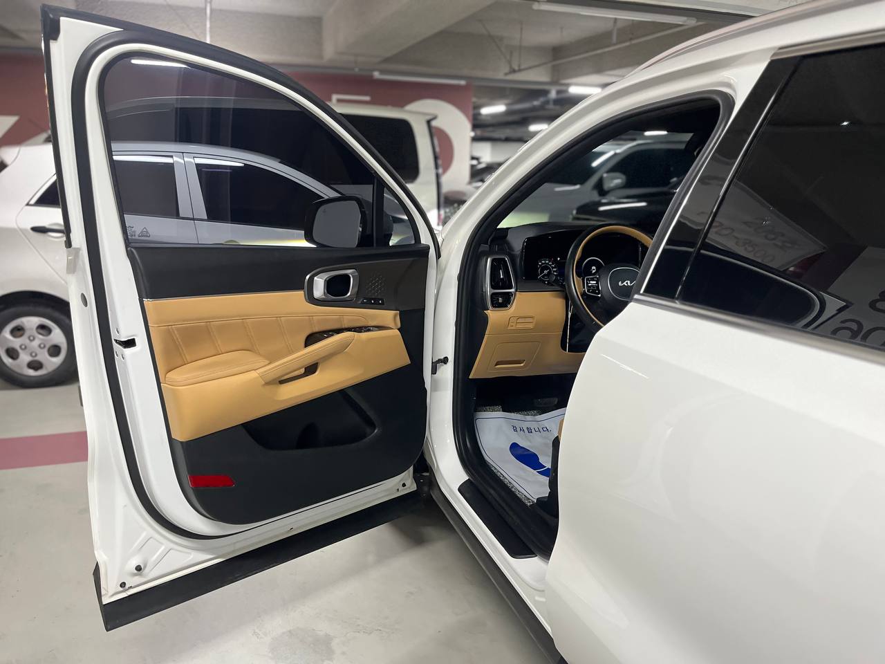 photo_2838@29-04-2025_04-22-18