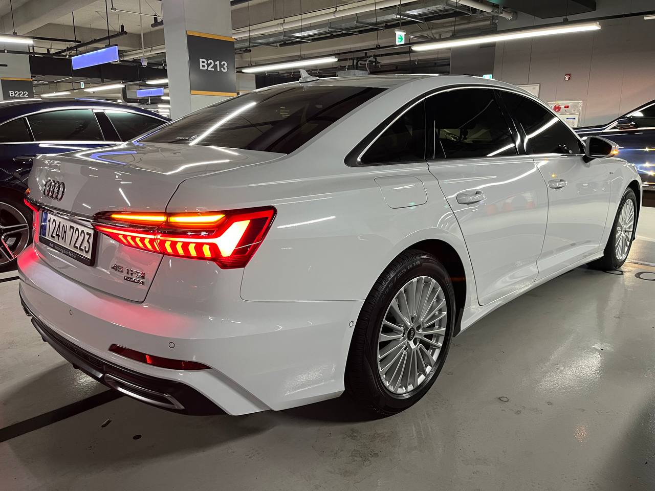 photo_2859@29-04-2025_04-24-13