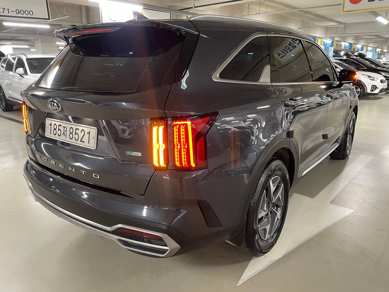 photo_2888@09-05-2025_08-07-57