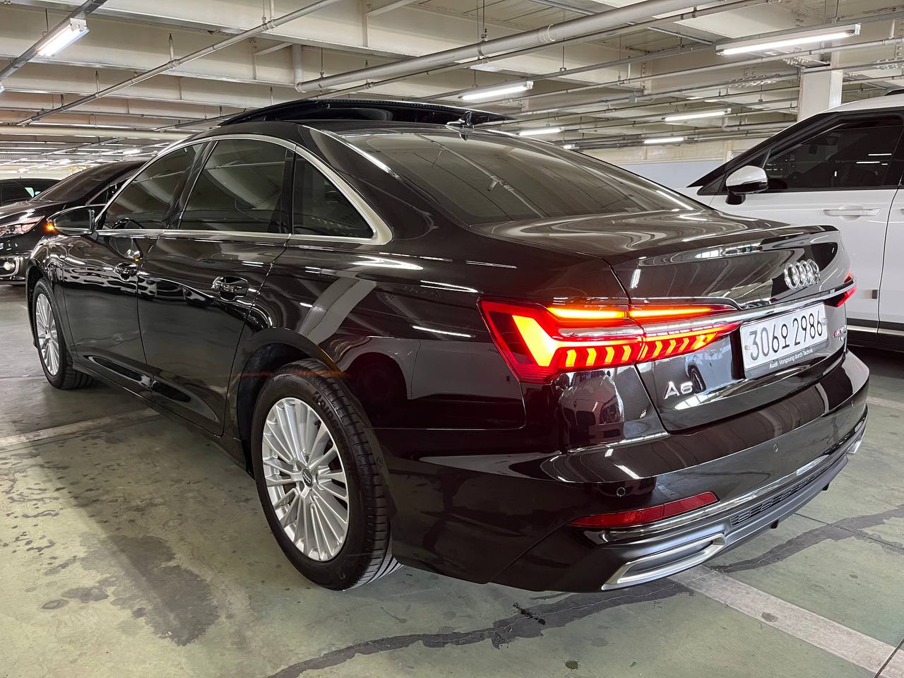 photo_2895@06-05-2025_11-02-17