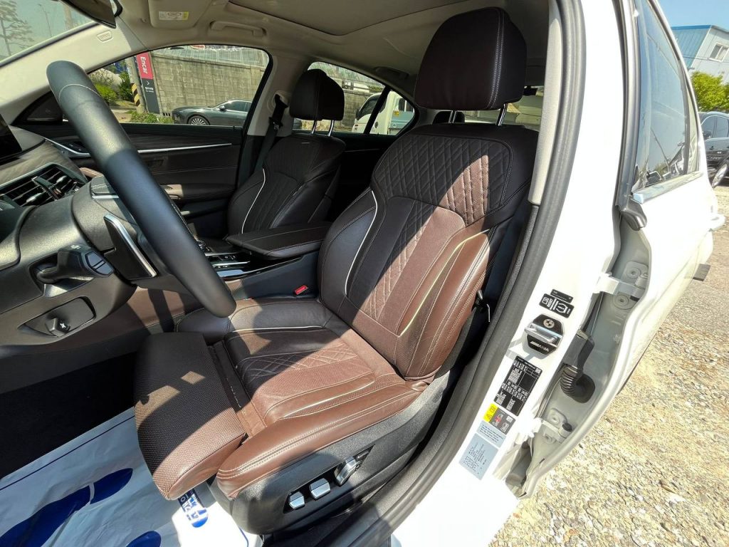 BMW 5 Series (G30) 530e Luxury