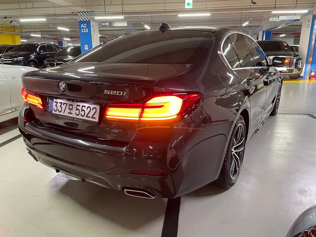 photo_2944@20-05-2025_07-02-40