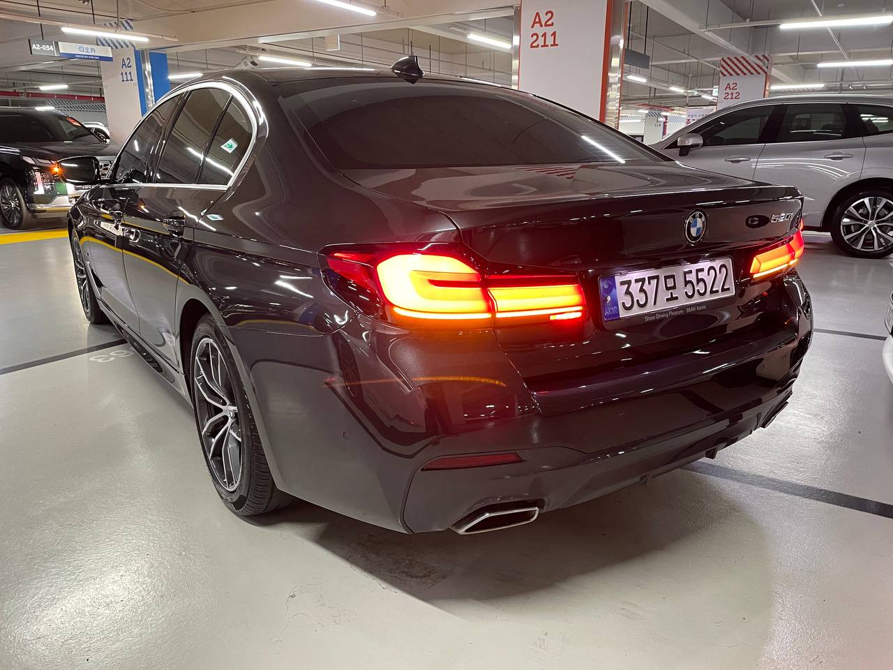 photo_2945@20-05-2025_07-02-40