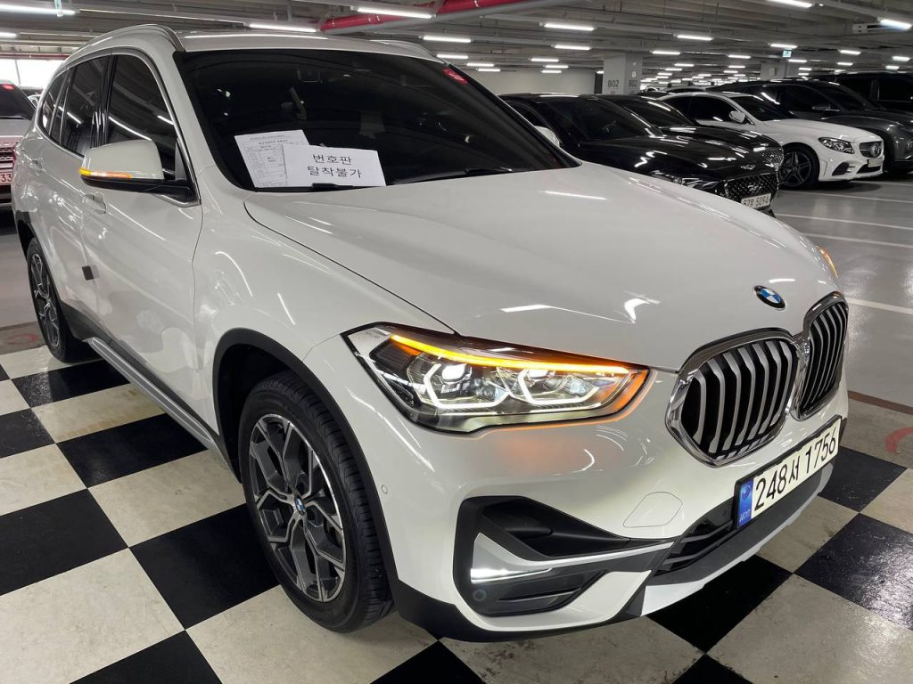 BMW X1 (F48) xDrive 20i xLine