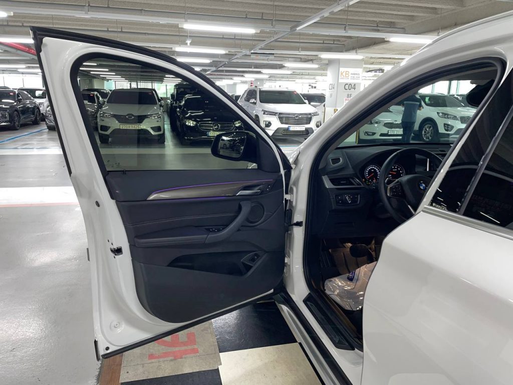 BMW X1 (F48) xDrive 20i xLine