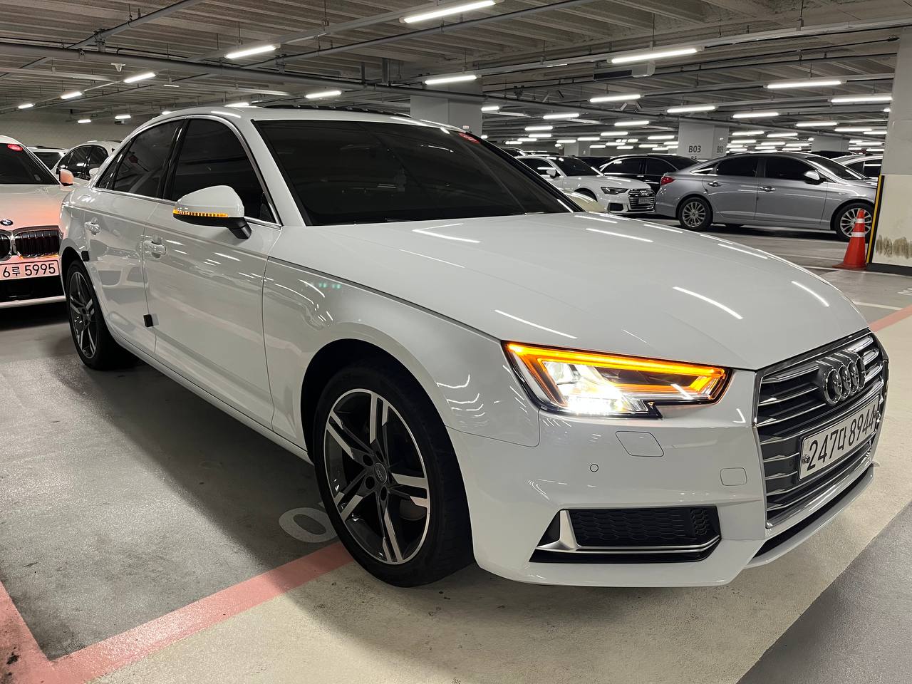 photo_2817@17-07-2025_12-46-25