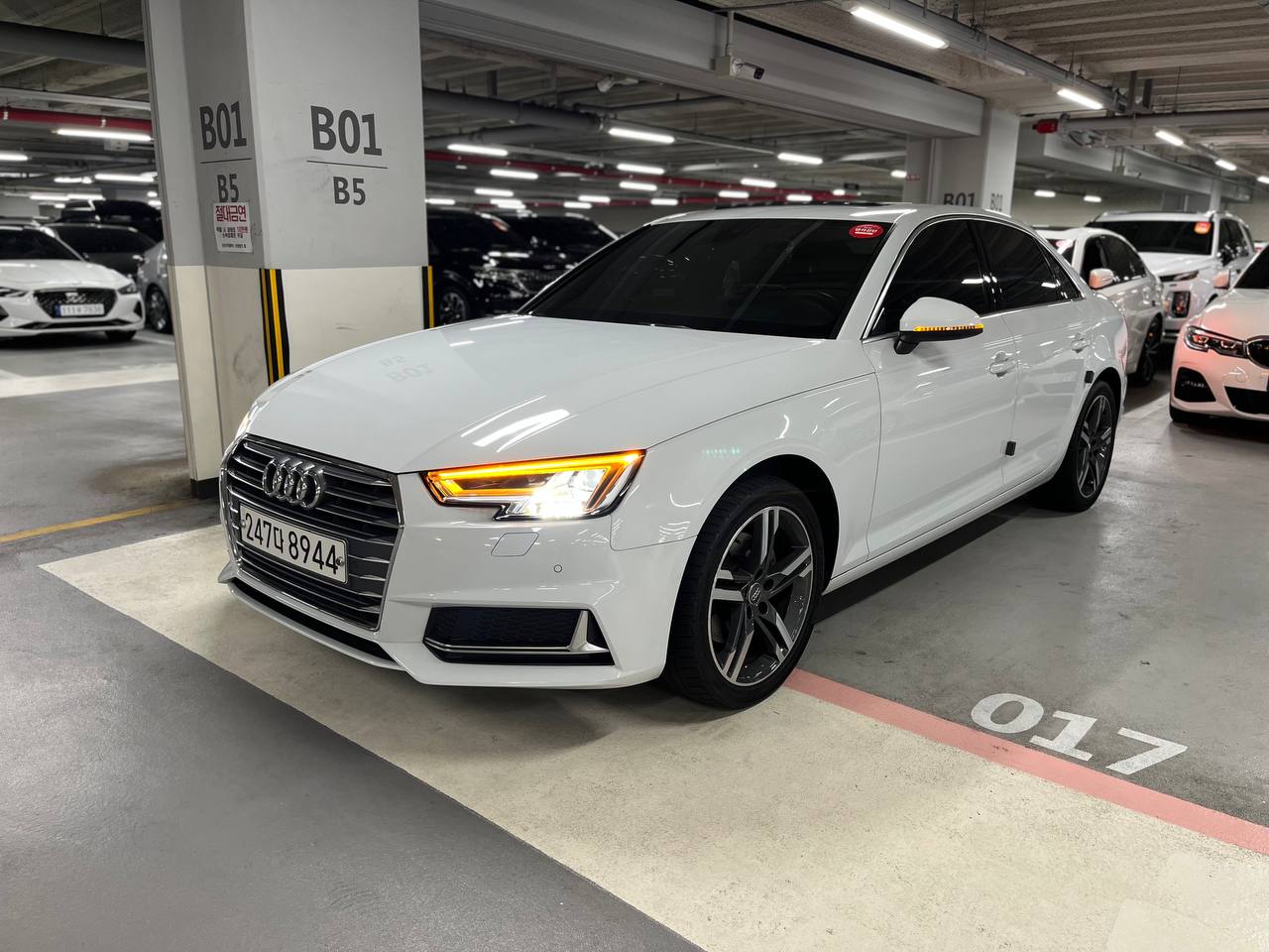 photo_2819@17-07-2025_12-46-25