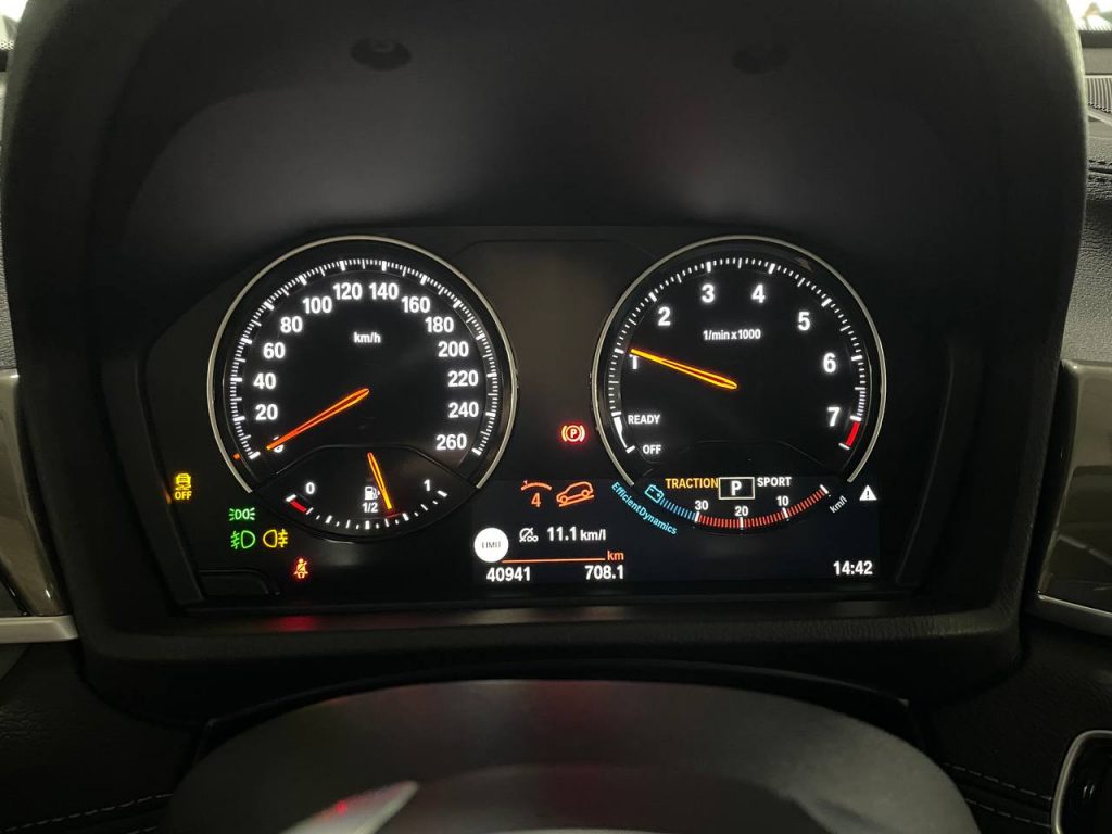 BMW X1 (F48) xDrive 20i xLine