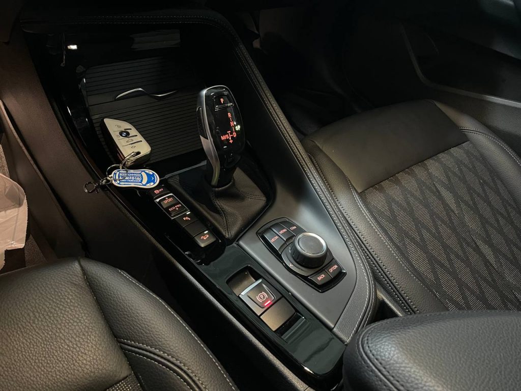 BMW X1 (F48) xDrive 20i xLine