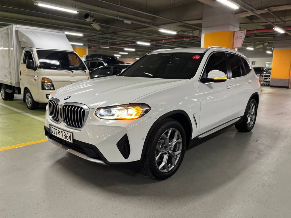 BMW X3 (G01) xDrive 20i