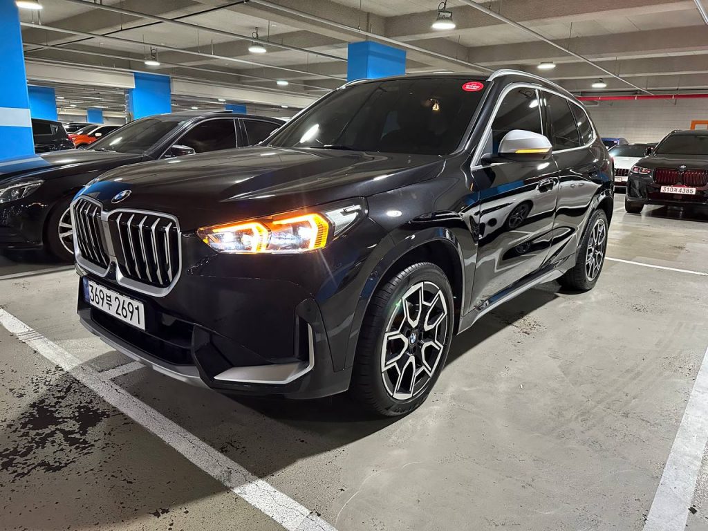 BMW X1 (F48) xDrive 20i xLine