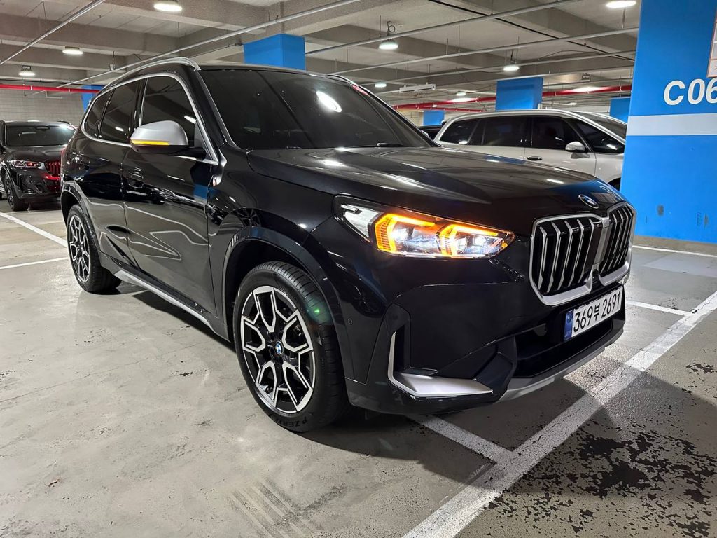 BMW X1 (F48) xDrive 20i xLine