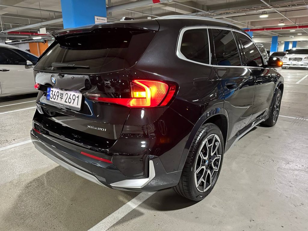 BMW X1 (F48) xDrive 20i xLine