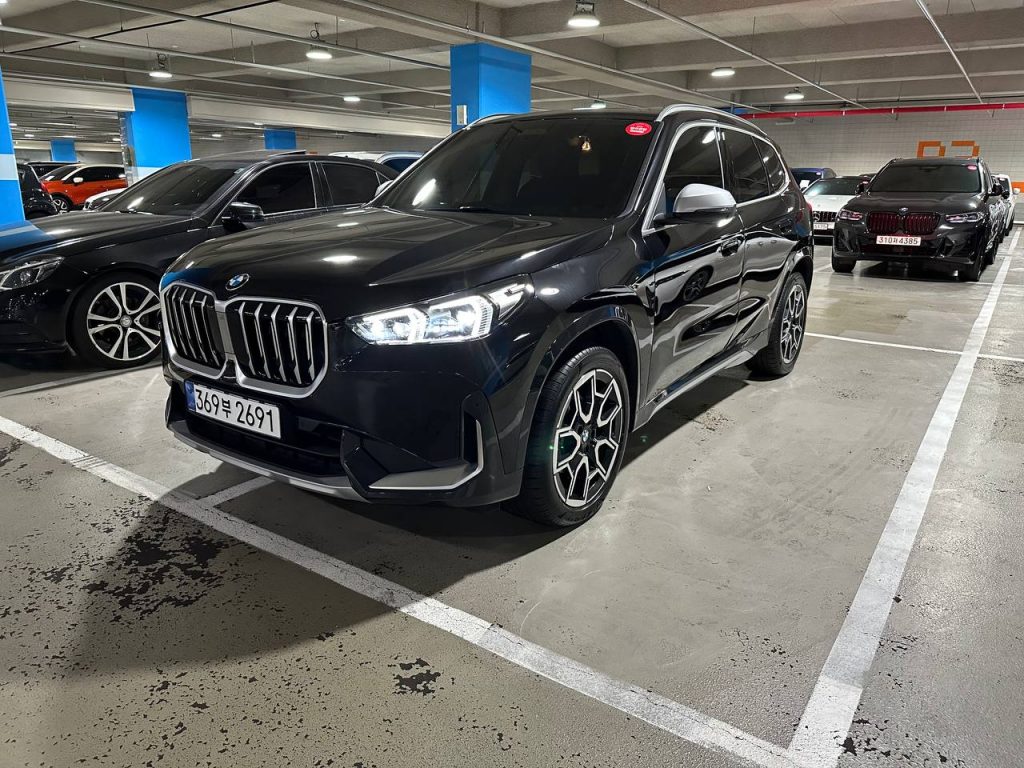 BMW X1 (F48) xDrive 20i xLine