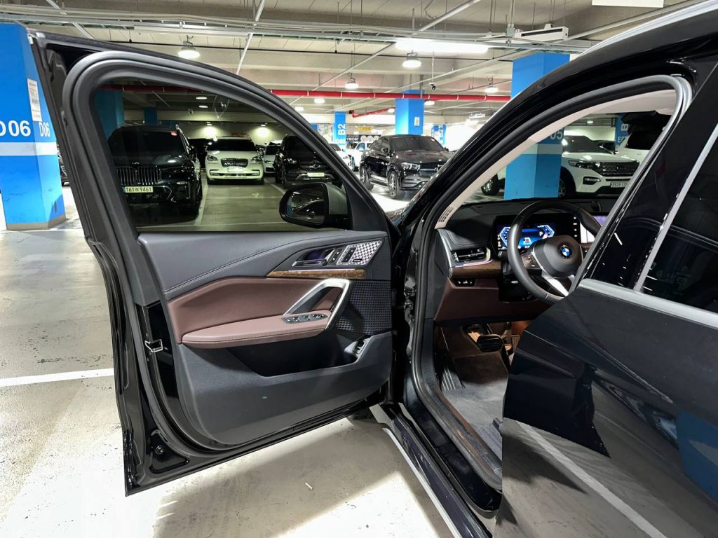 BMW X1 (F48) xDrive 20i xLine