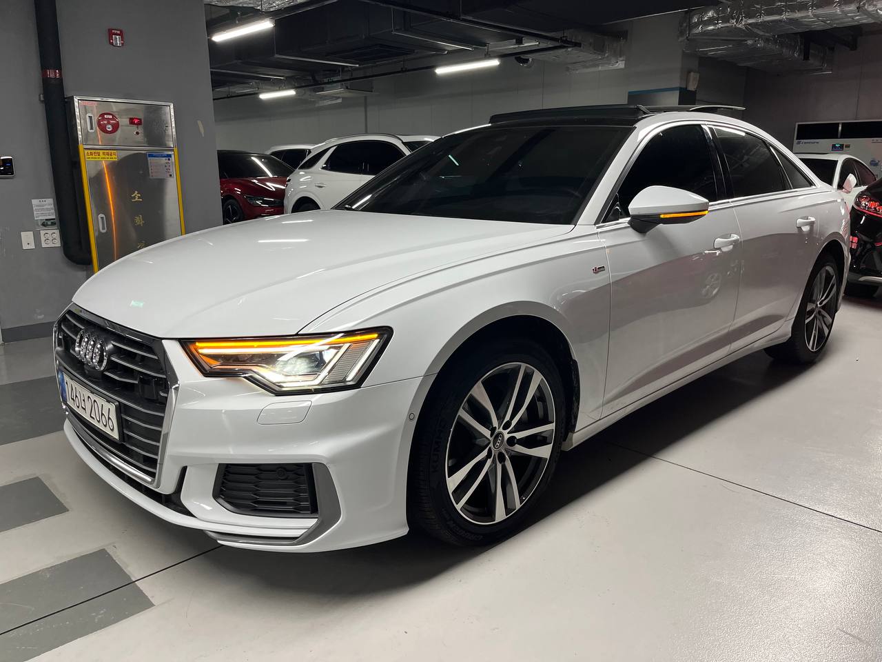 photo_2818@15-08-2025_03-23-20