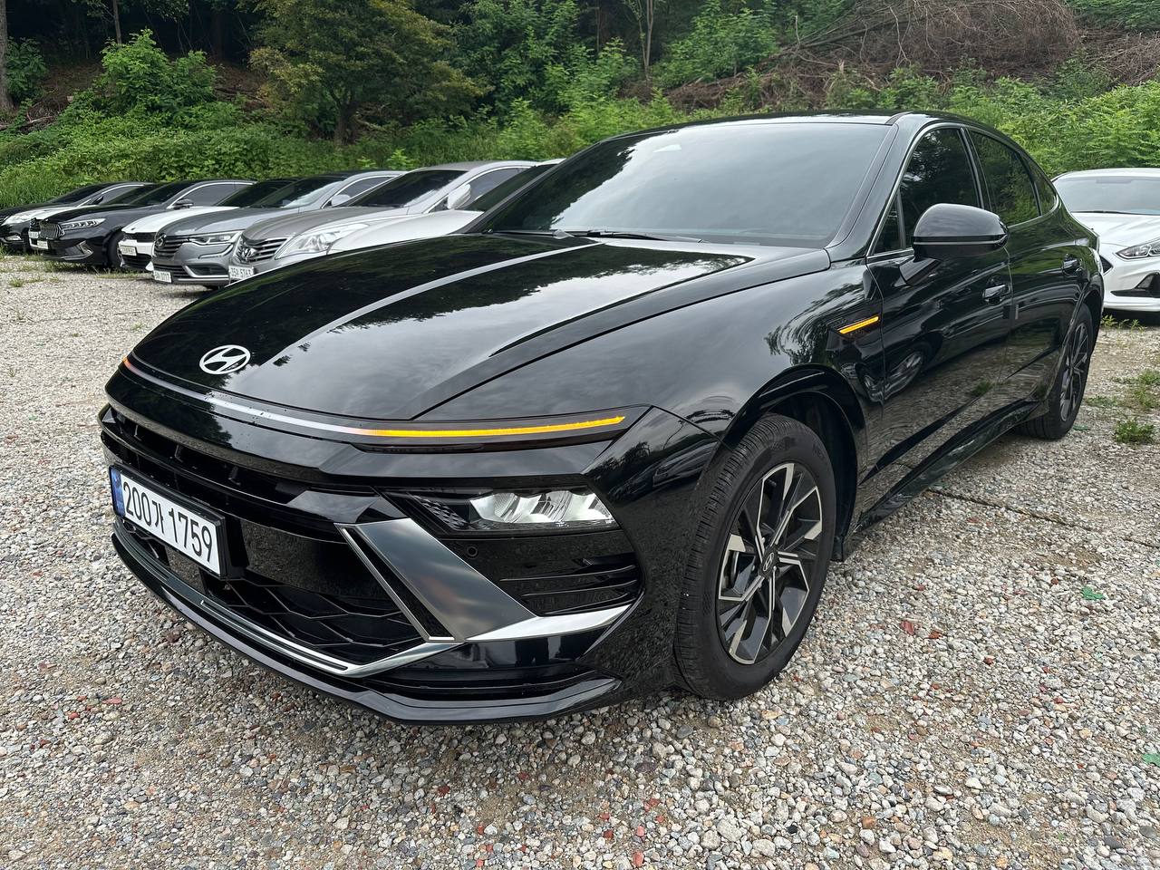 photo_2793@04-09-2025_04-19-55