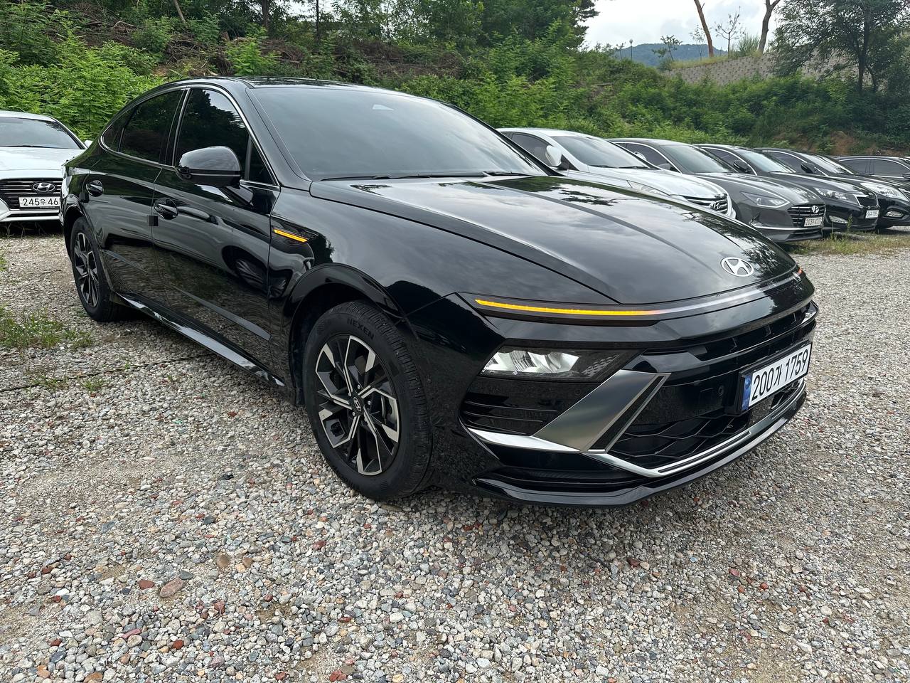 photo_2794@04-09-2025_04-19-55