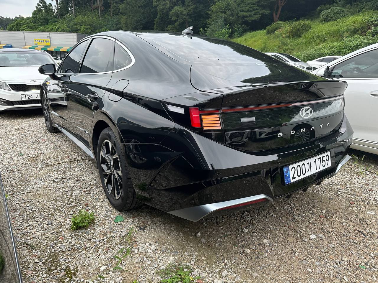 photo_2796@04-09-2025_04-19-55