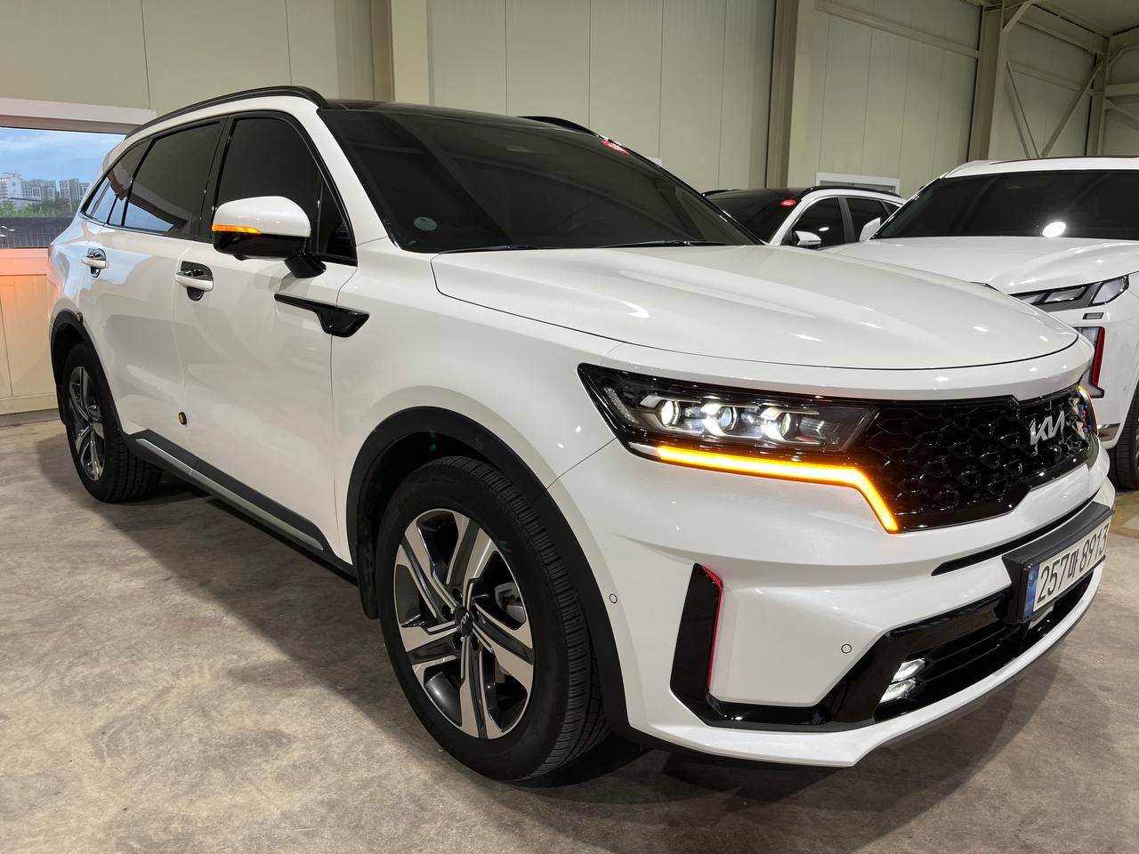 photo_2798@24-09-2025_09-01-50