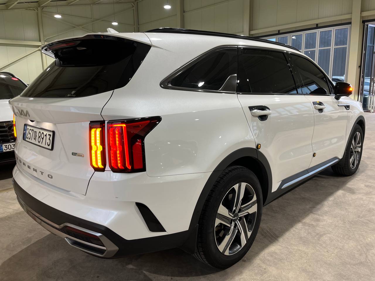 photo_2799@24-09-2025_09-01-50