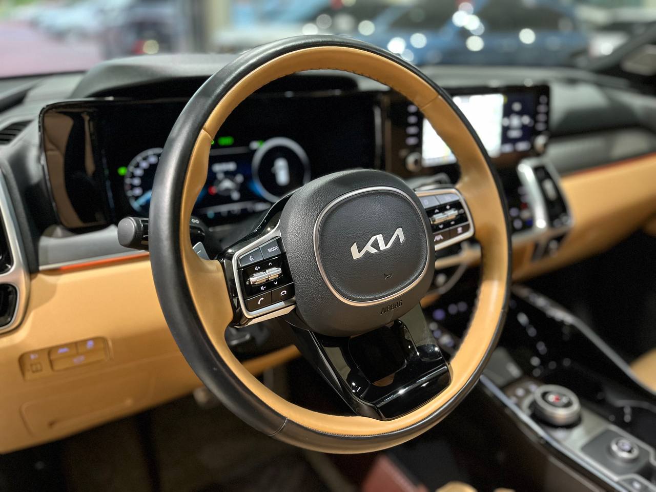 photo_2805@24-09-2025_09-01-51