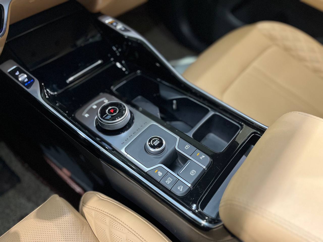 photo_2808@24-09-2025_09-01-51