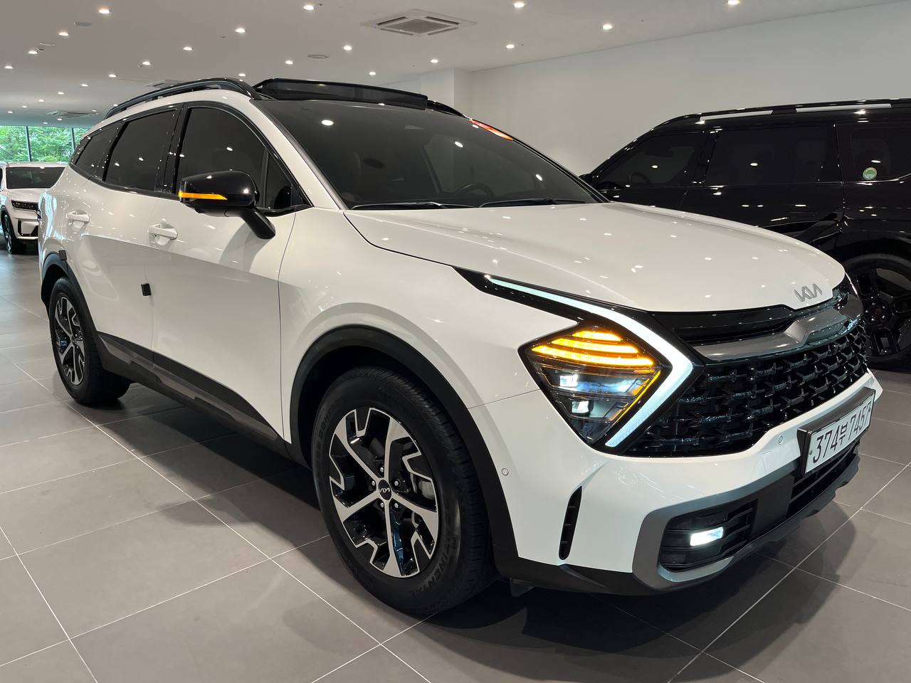 photo_2830@02-09-2025_03-13-35