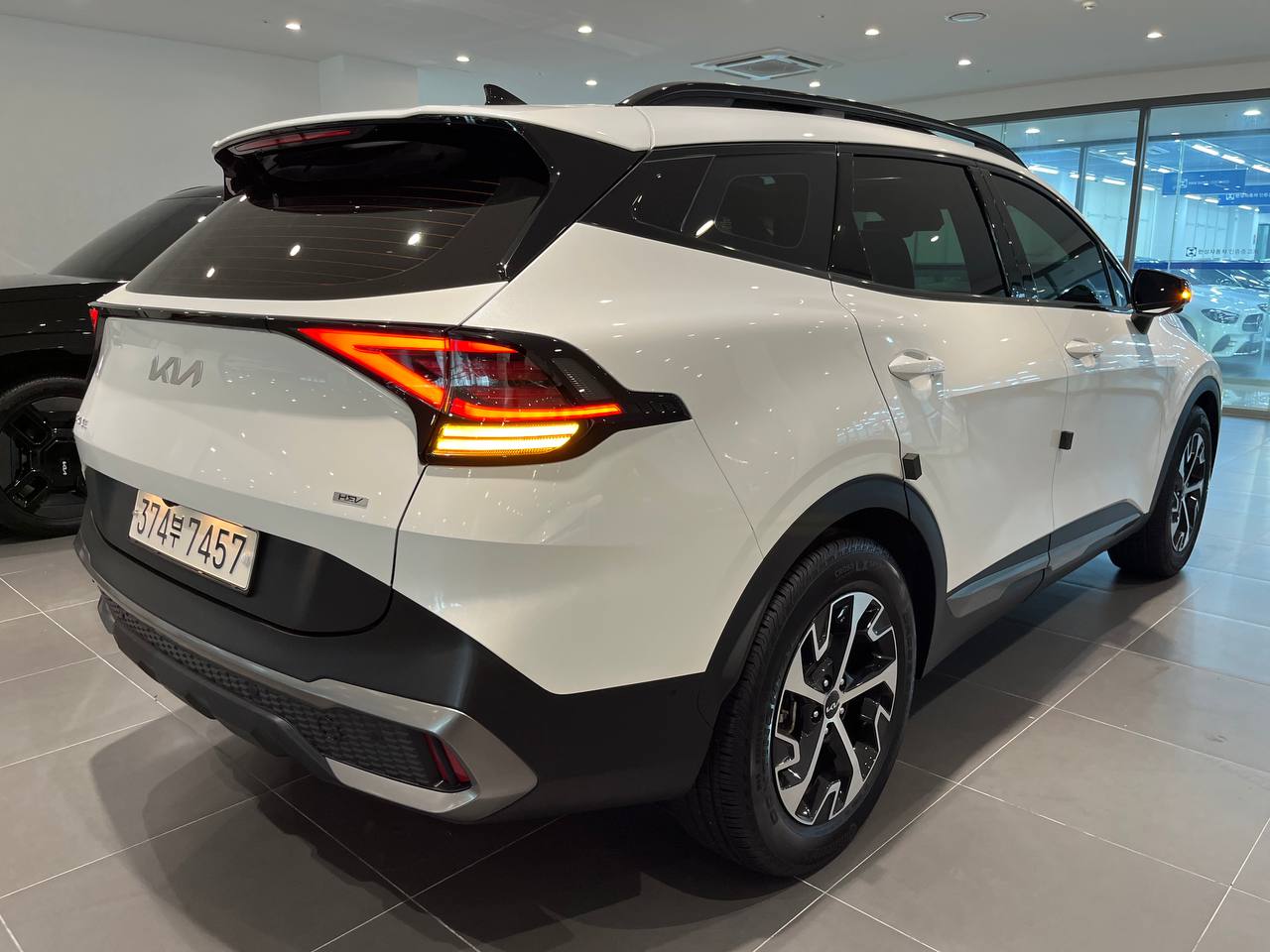 photo_2831@02-09-2025_03-13-35