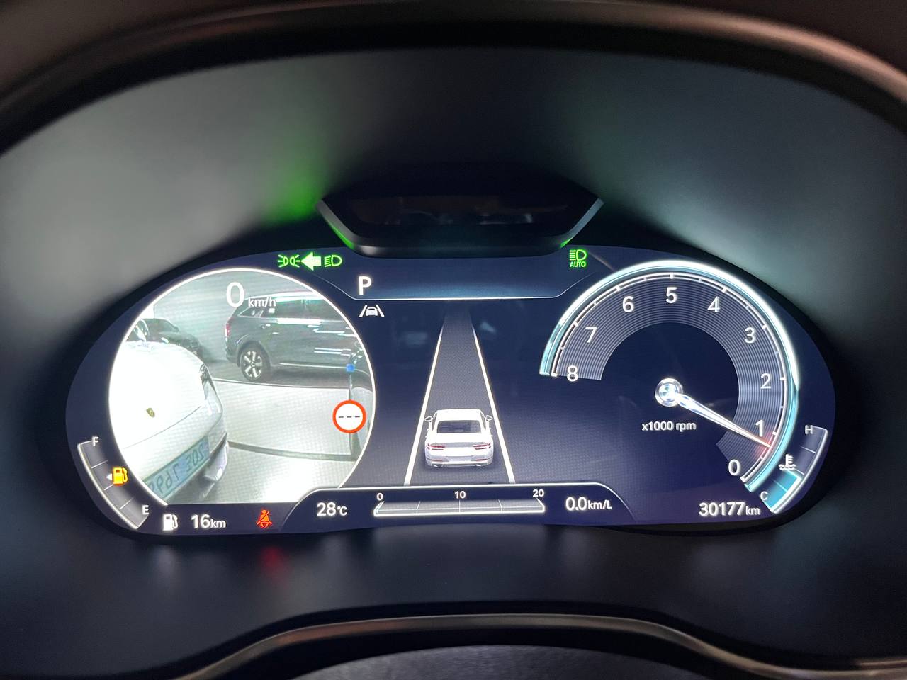 photo_2841@24-09-2025_09-03-48