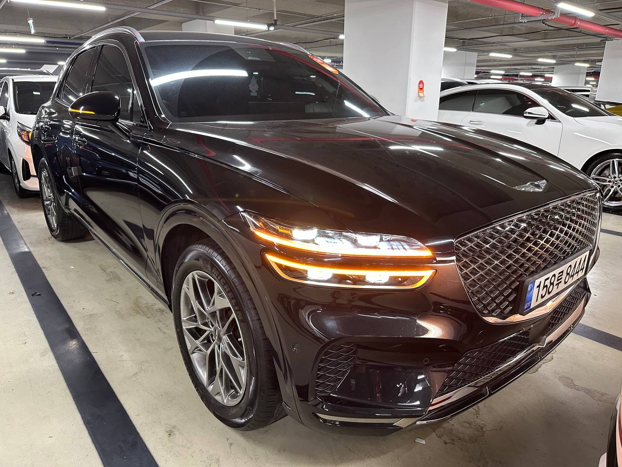 photo_2854@02-09-2025_03-15-59